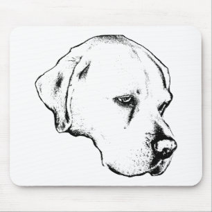 Desk clarity, lab gaze mouse pad
