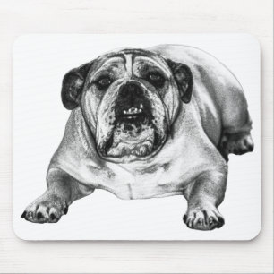 Desk loyalty in winter mouse pad