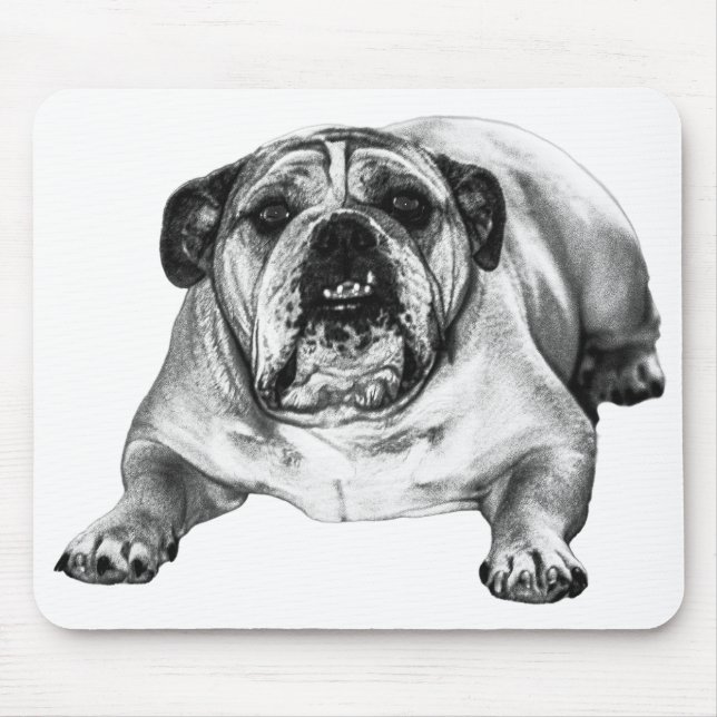 Desk loyalty in winter mouse pad (Front)
