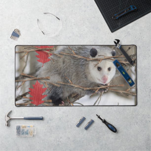 Desk Mat Opossum Nature Wildlife