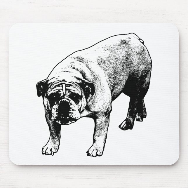 Desk Snow Quiet Mouse Pad (Front)