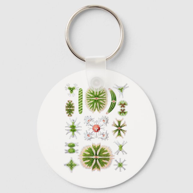 Desmids Key Ring (Front)