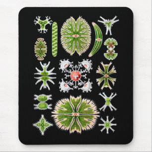 Desmids Mouse Pad