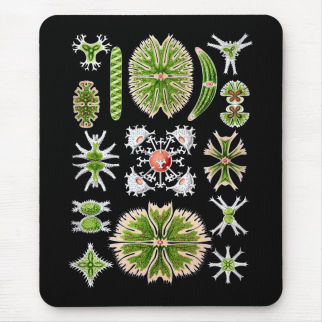 Desmids Mouse Pad (Front)