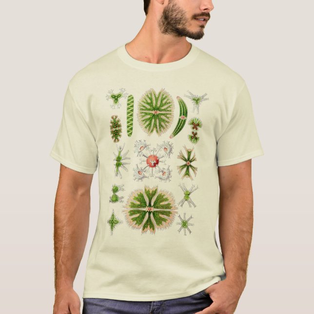 Desmids T-Shirt (Front)