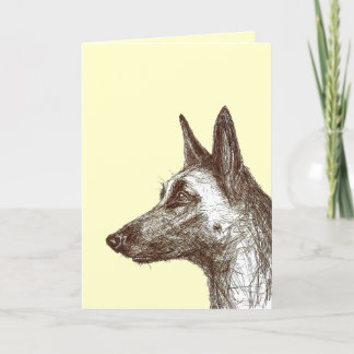 dessin malinois card