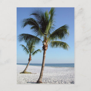 Destin Florida Postcard