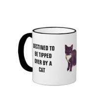 Destined To Be Tipped Over By Cat