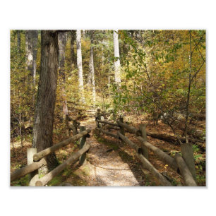 Destiny 10x8 Photographic Print