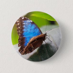 Destiny Gifts 6 Cm Round Badge