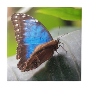 Destiny Gifts Ceramic Tile