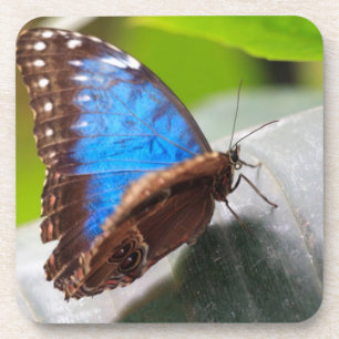 Destiny Gifts Coaster