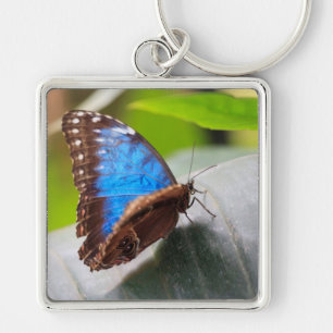 Destiny Gifts Key Ring