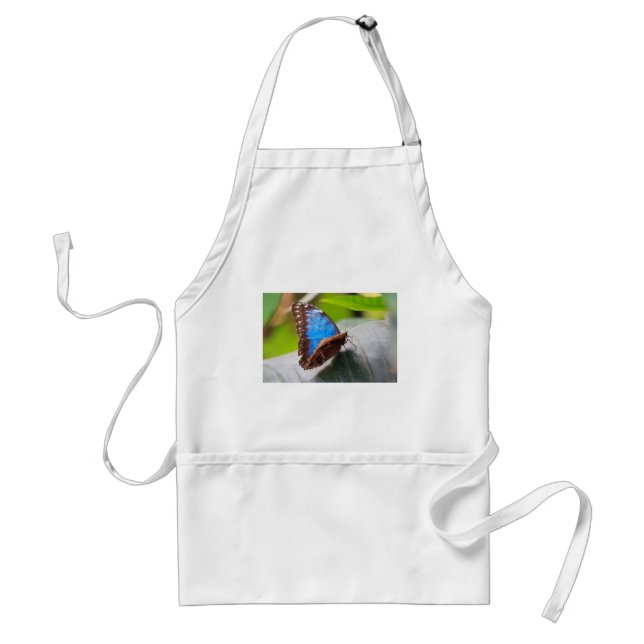 Destiny Gifts Standard Apron (Front)