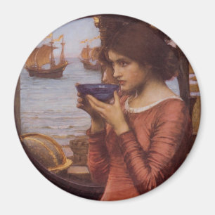 Destiny Magnet