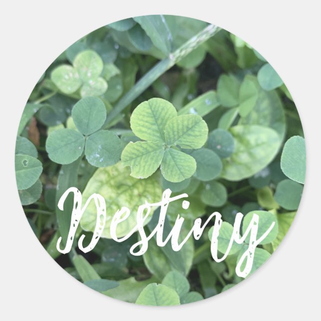 Destiny Sticker (Front)