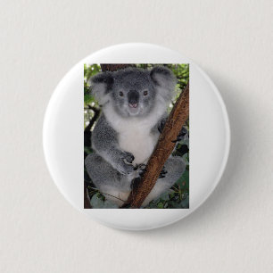 Destiny Zazzle Cute Koala Aussi Outback 6 Cm Round Badge