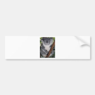 Destiny Zazzle Cute Koala Aussi Outback Bumper Sticker
