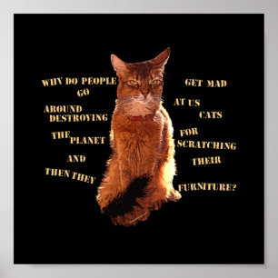 Destroy! Somali Cat Poster