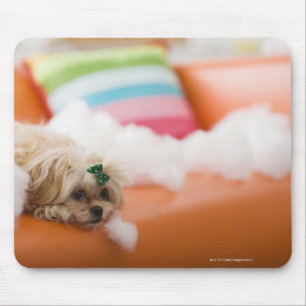 Destructive dog mouse pad
