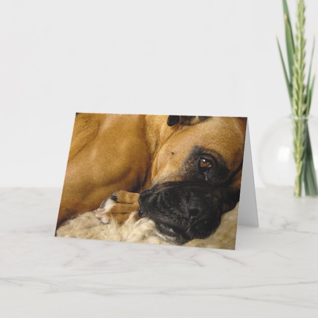 Detail of a Boxer Card (Front)