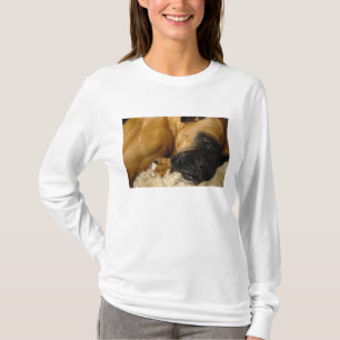 Detail of a Boxer T-Shirt