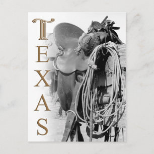 Detail of a Cowboy's Saddle in Texas Postcard