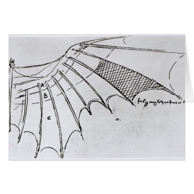 Detail of a mechanical wing (Front Horizontal)