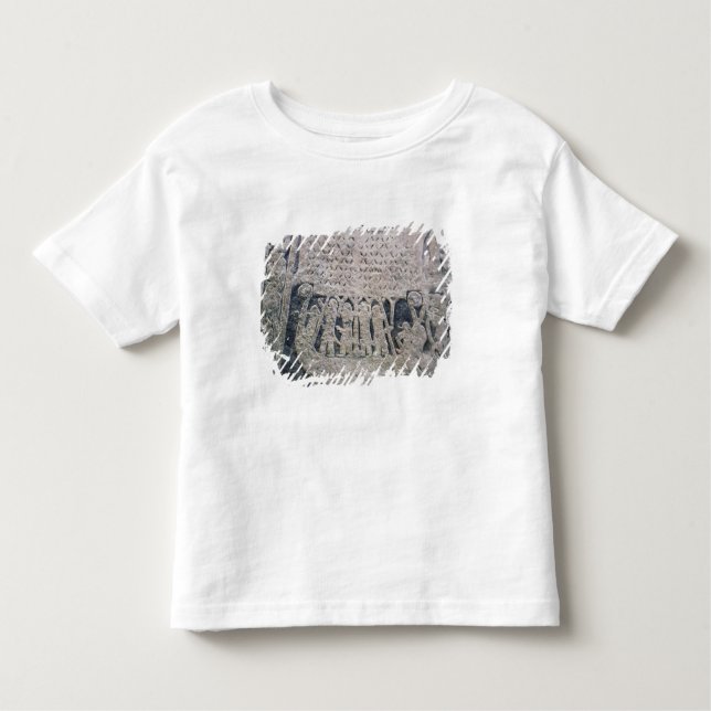 Detail of a picture stone toddler T-Shirt (Front)