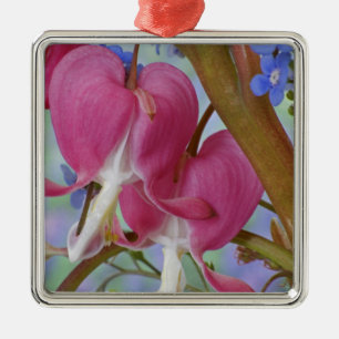 Detail of bleeding hearts and Brunnera Jack Metal Ornament
