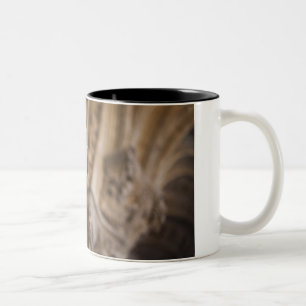 Detail of cloisters Patriarch Zacarias statue Two-Tone Coffee Mug