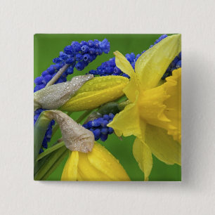 Detail of daffodil and hyacinth flowers. Credit 15 Cm Square Badge