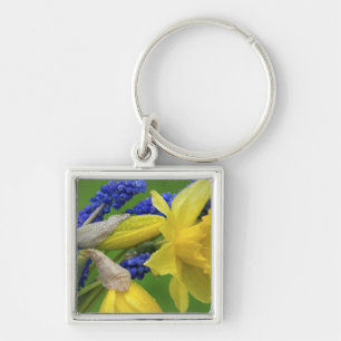 Detail of daffodil and hyacinth flowers. Credit Key Ring