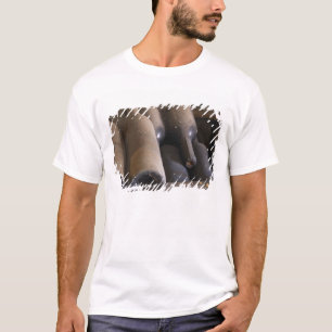 Detail of dusty bottles sur lattes on wooden T-Shirt