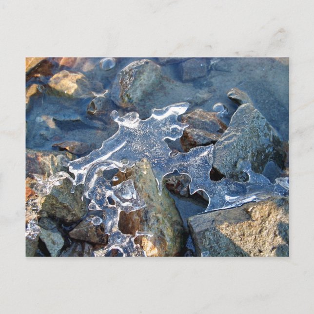 Detail of frozen river bank,ice,stone,sand,water.. postcard (Front)