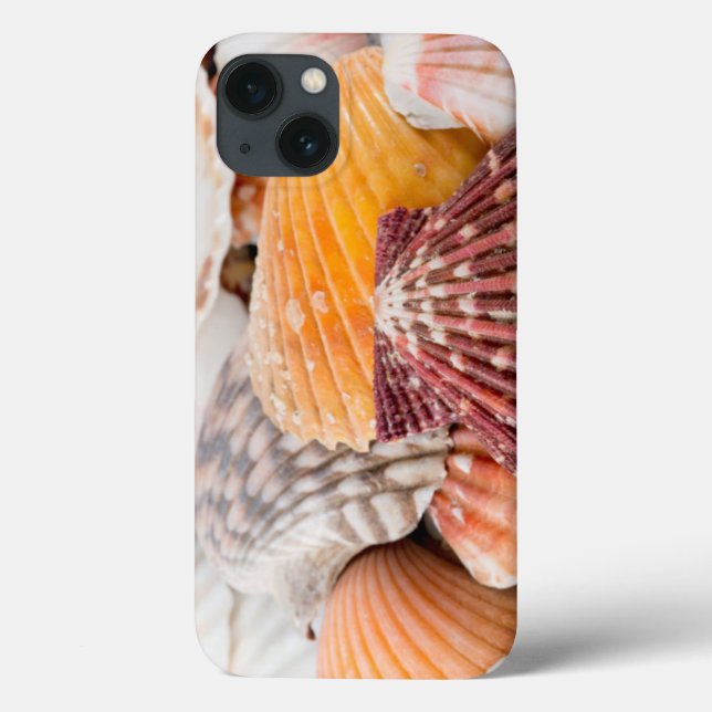 Detail Of Seashells From Around The World 2 Case-Mate iPhone Case (Back)