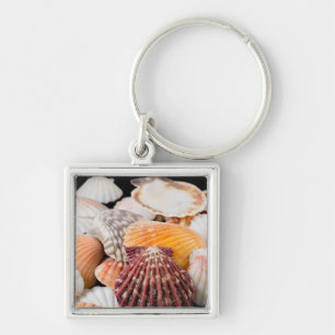 Detail Of Seashells From Around The World 2 Key Ring