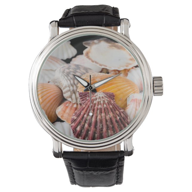 Detail Of Seashells From Around The World 2 Watch (Front)