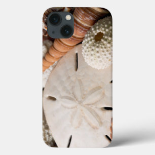 Detail Of Seashells From Around The World iPhone 13 Case