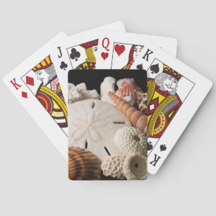 Detail Of Seashells From Around The World Playing Cards
