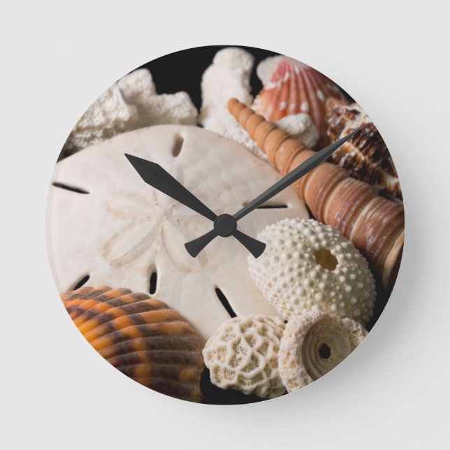 Detail Of Seashells From Around The World Round Clock (Front)