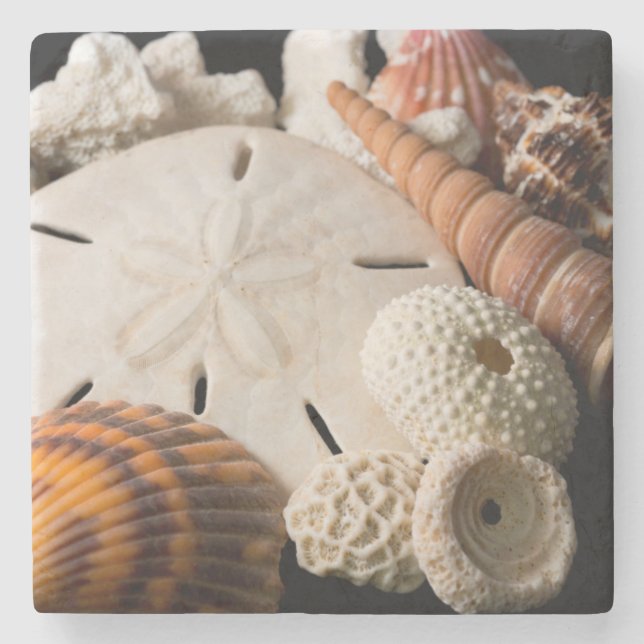 Detail Of Seashells From Around The World Stone Coaster (Front)