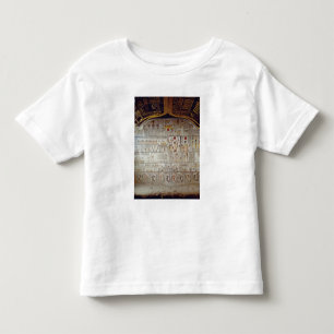 Detail of the Book of the Earth Toddler T-Shirt