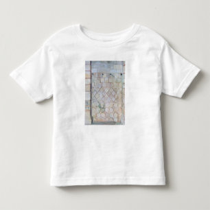 Detail of the wall of the Crypt of St. Paul Toddler T-Shirt