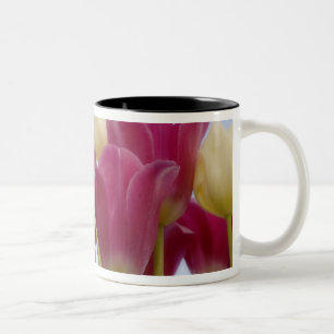 Detail of tulips. Credit as: Don Paulson / Two-Tone Coffee Mug