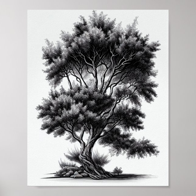 Detailed Black And White Tree Sketch Poster (Front)
