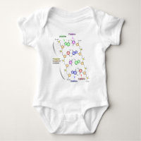 Detailed Diagram of the Chemical structure of DNA