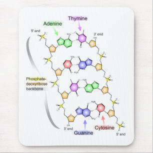 Detailed Diagram of the Chemical structure of DNA Mouse Pad