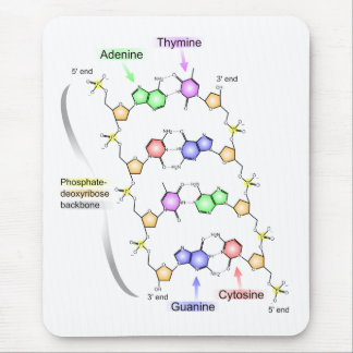 Detailed Diagram of the Chemical structure of DNA Mouse Pad