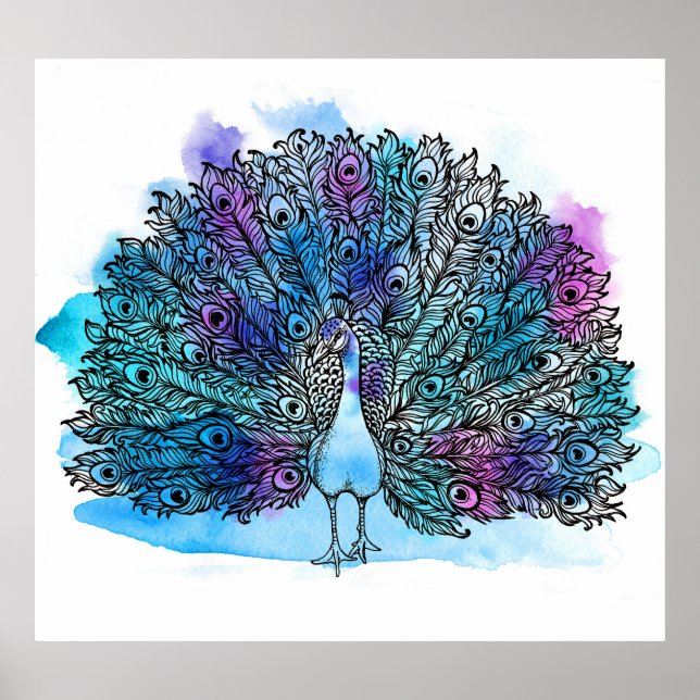 Detailed Hand Drawn Peacock: Clip-Art Poster (Front)